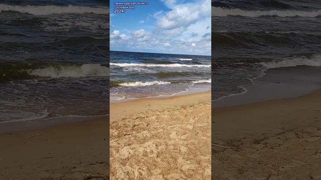 Санкт-Петербург. Ленинградская область. Сосновый бор. Пляж Липово. 30.07.2024