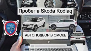 Автоподбор в Омске | Пробег в Skoda Kodiaq | Подбор авто в Омске