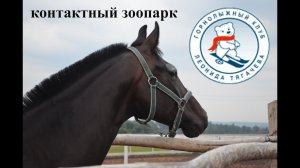 Контактный зоопарк в горнолыжном клубе Леонида Тягачева. Шуколово.
