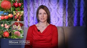 ЯБЛОНЯ / ТОП-10 / Самые СОЧНЫЕ СОРТА