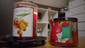 Kumquat or Dragon Fruit? (a candle comparison/reviews)