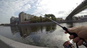 JS Bixod S842XH 30 80 гр