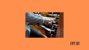 АЛФАВИТ - МУЗЫКАЛЬНЫЕ ИНСТРУМЕНТЫ