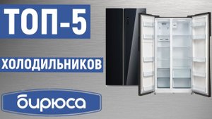ТОП-5. Лучшие холодильники Бирюса. Рейтинг