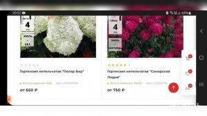 Как оформить заказ в питомнике Веры Глуховой через интернет-магазин.