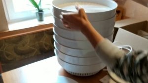 Обзор Ветерок-2 сушилка для фруктов