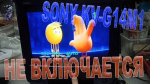 Ремонт телевизора Sony KV-G14M1 | Не включается