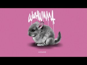 HOMIE - Шиншилла (премьера трека, 2023)
