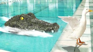 ГОЛОВА КРОКОДИЛА | Радиоуправляемая лодка | Обзор