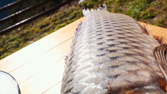 FRIED CHICKEN смотреть онлайн