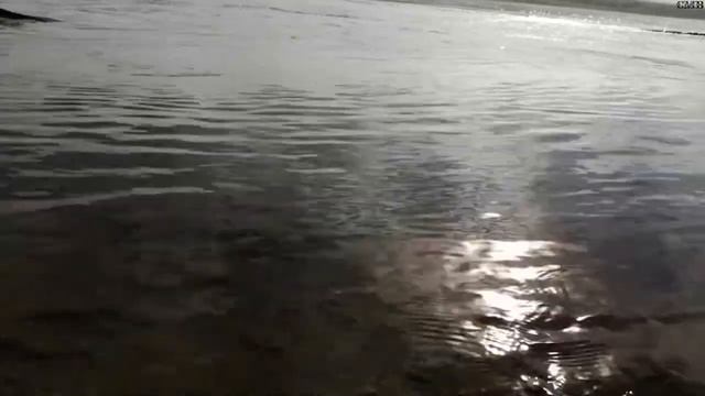 RELAX ВИДЕО. Забайкалье. Онон. Красивая музыка флейты смотреть онлайн