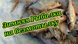 Зимняя Рыбалка☝ на безмотылку?