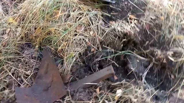 Сентябрьский металлокоп в лесополосе