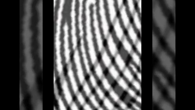 Отпечатки пальцев определяют твои особенности три вида отпечатков смотреть онлайн