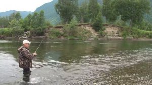 Таймень на Чулышмане