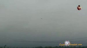 Природа Хабаровского края. Остров Большой Уссурийский