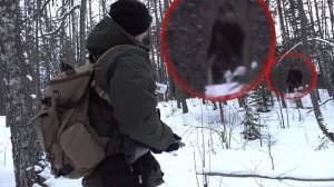 ТАЙНА СНЕЖНОГО ЧЕЛОВЕКА РАСКРЫТА / THE BIGFOOT MYSTERY REVEALED