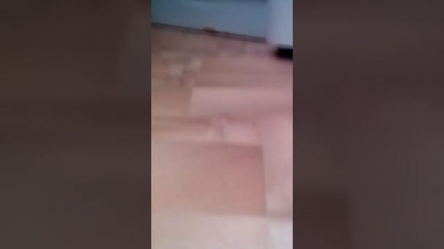 А пять камера прис🤖🤖🤖🤖🤖🤖🤖😾😾😾надоела почему к хозяйке не пристоё акам пристала совсем смотреть онлайн