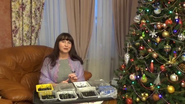 Какие ОДНОЛЕТНИКИ надо посеять уже в ЯНВАРЕ? Не опоздайте!