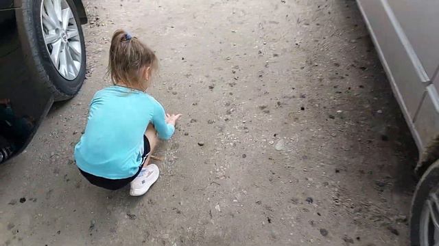 Краснодар #собаки #дети смотреть онлайн