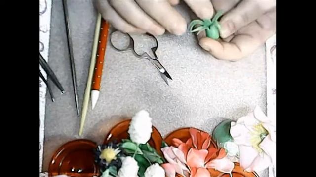 М.К. Шиповник. Чашелистик и цветоножка. Татьяна Несина. смотреть онлайн