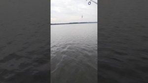 рыбалка Можайское водохранилище тролинг