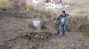 Укрытие граната на зиму