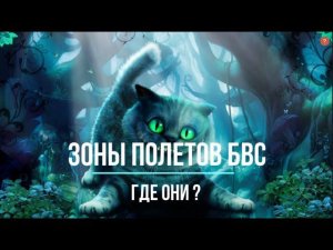 Зоны полетов БВС ?! Ответы Минтранса РФ с комментариями