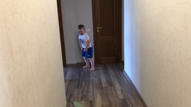Даня ловит воздушные шарики с потолка.  #воздушныешары #baloonchallenge #wild