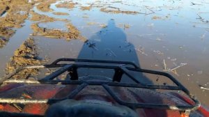 Квадроцикл Honda TRX 420