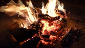 Cayenne. 4К. Лучшая фоновая музыка.