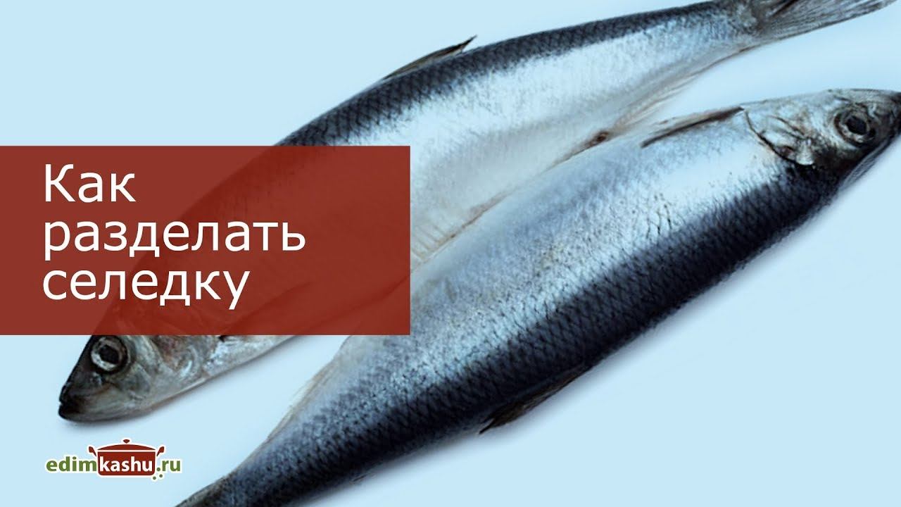 Разделка сельди