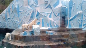 не идёт ли кто, не несёт ли чего?