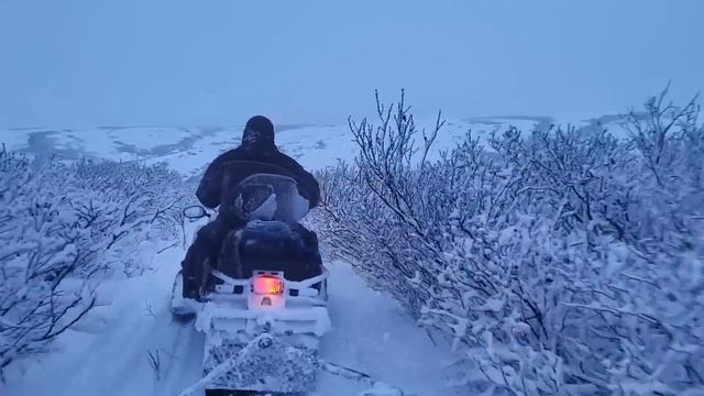 НАЛОВИЛИ АЖ ПОДНЯТЬ НЕ СМОГЛИ! ЭТО УЩЕЛЬЕ ЗАБИТО РЫБОЙ! Рыбалка в АРКТИКЕ. смотреть онлайн