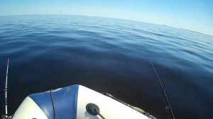 Белое море, открытие сезона | ловля камбала и навага