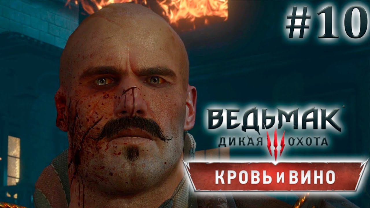 Спасение Туссента. Ведьмак 3: Кровь и Вино. (Игрофильм) # 10