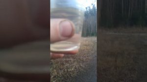 Вода в бензине и ацетон