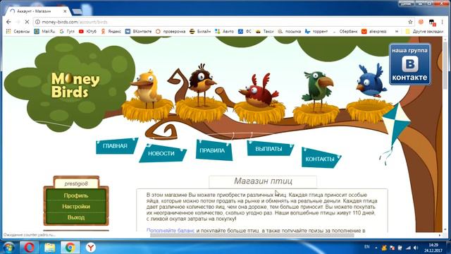Ежедневный обзор Money-Birds 24 декабря 2017 год