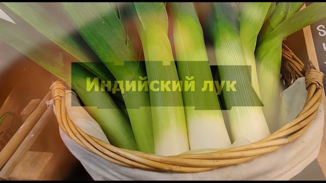Открой глаза! Ученые скрывали его годами... Теперь мы можем БЕЗ СЛЕЗ СМОТРЕТЬ НА ЛУК! смотреть онлайн