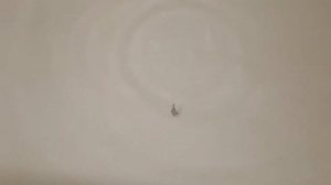 Игра блесны трёхгранка 36, 3.5гр