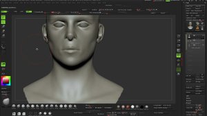 11  Transforming our male head into a female head