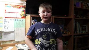 Стихотворение Сергея Михалкова Зяблик