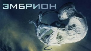 Эмбрион (2020)