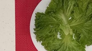 Салат с мидиями, моцареллой, помидорами черри и рукколой.