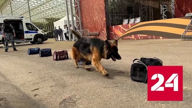 Кинологи показали, на что способны служебные собаки - Россия 24 