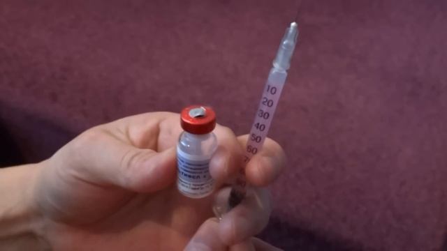 подкожная инъекция кошке