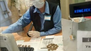 Питер Купила ПОДОРОЖНИК