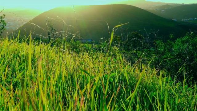Relaxing Music.Музыка расслабляющая,лечебная для снятия негатива,стресса,усталости,сна,сердца.