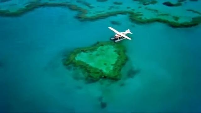 Большой Барьерный Риф! Австралия!! смотреть онлайн