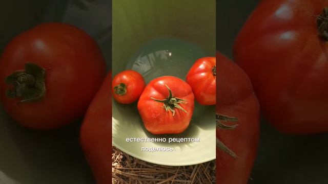 Собираю урожай в заготовку